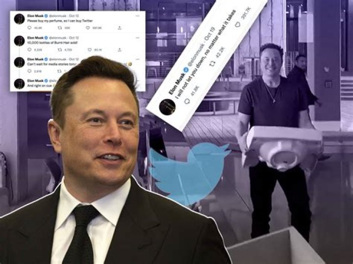 Did Elon Buy Google? The Truth Behind The Rumors