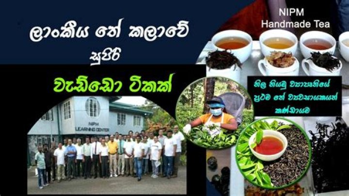 Discovering The Best SEO Service In Sri Lanka