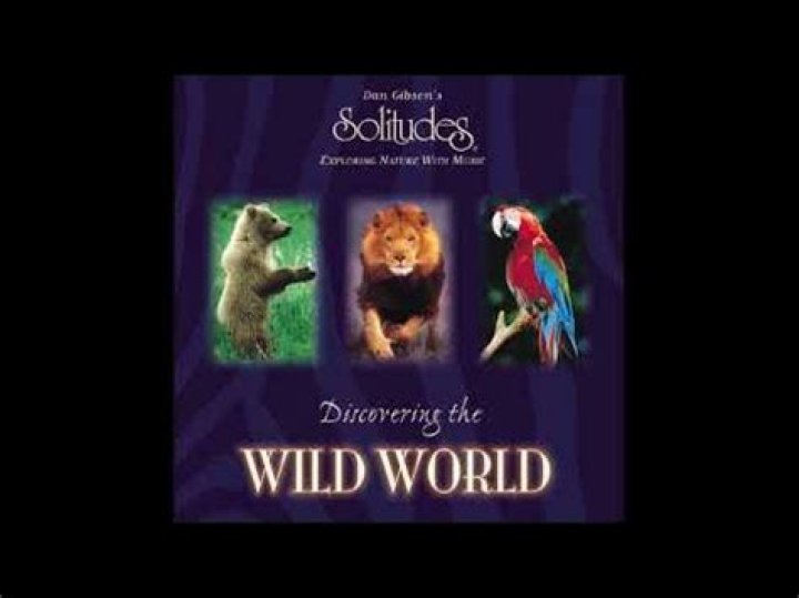 Discovering The World Of Freex.com: Your Gateway To Endless Possibilities