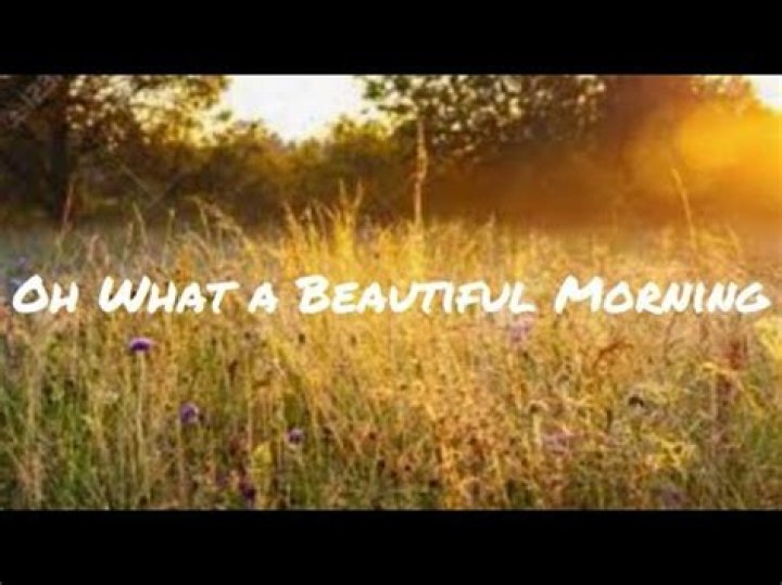 Embracing Joy: The Magic Of 