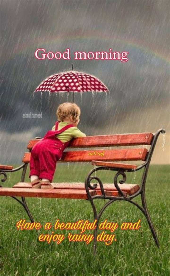 Embracing The Joy Of A Good Morning Happy Rainy Sunday