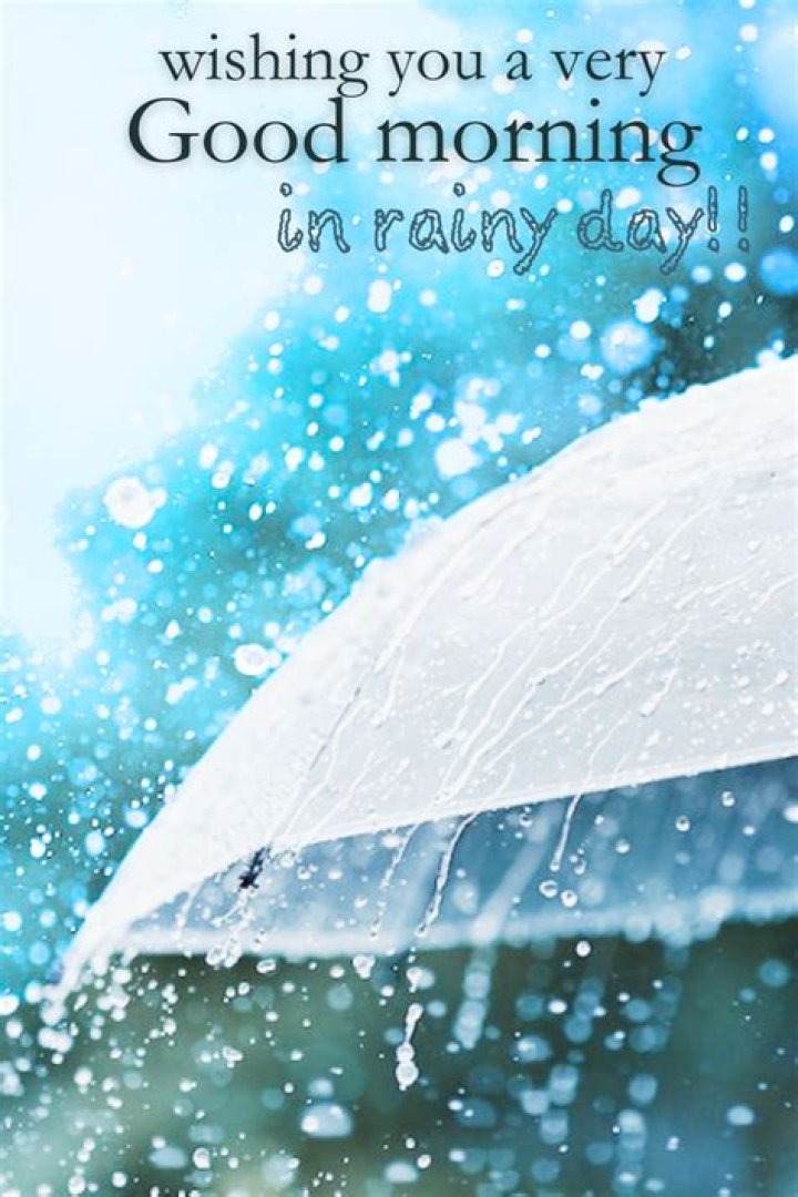 Embracing The Raindrops: Good Morning Wishes For The Rainy Season