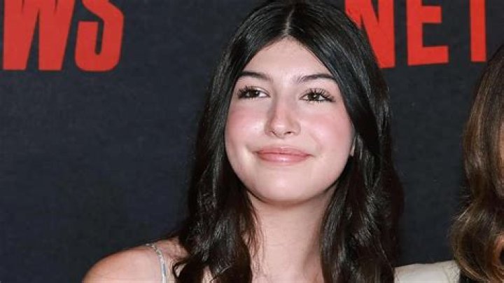 Exceptional Sunny Madeline Sandler: A Guide To Her Career And Achievements