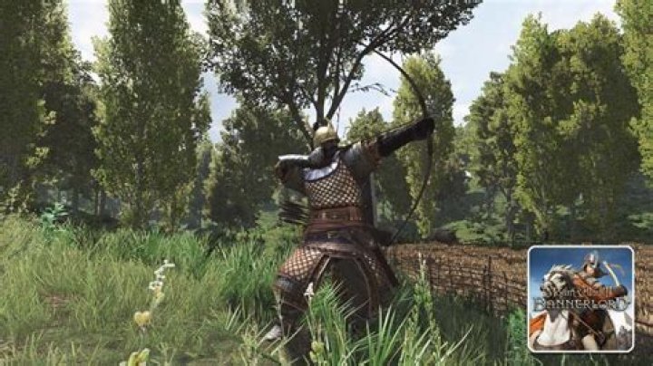 Exploring The Depths Of Mount And Blade 2 Bannerlord Troop Trees
