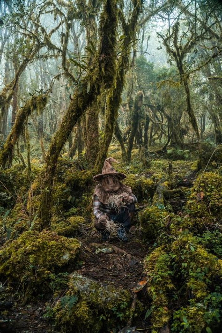 Exploring The Enigmatic World Of 2B R34