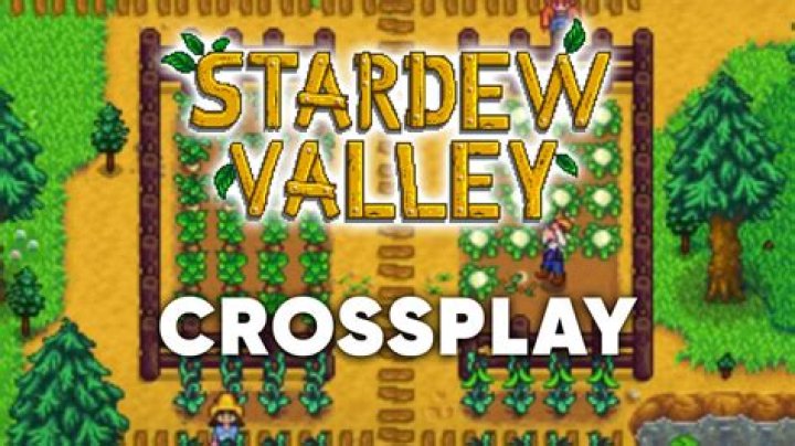 Exploring The Exciting World Of Stardew Valley Crossplay