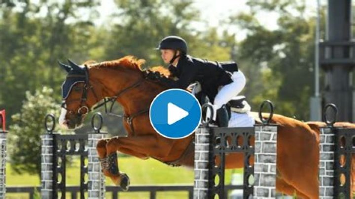 Exploring The Fascination Of The Hannah Serfass Horse Video