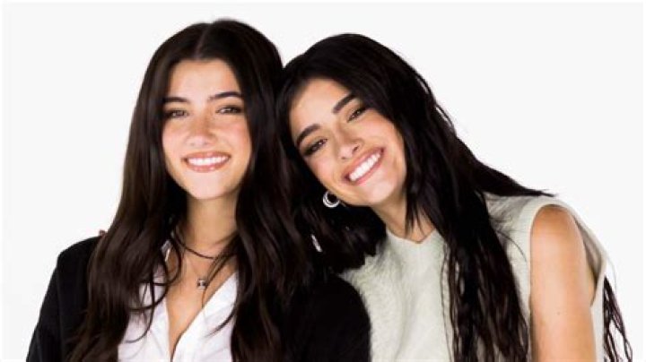 Exploring The Intricacies Of Charlie D'Amelio And The Controversy Surrounding Nudes