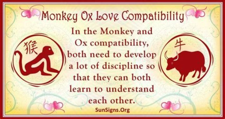 Exploring The Intriguing Dynamics Of Monkey Ox Compatibility
