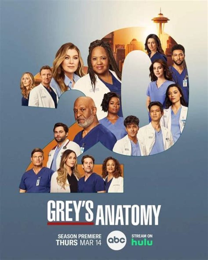 Exploring The Intriguing World Of Jeffrey Grey's Anatomy