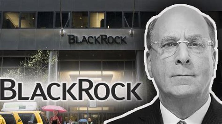 Exploring The Legacy Of The Blackrock Family