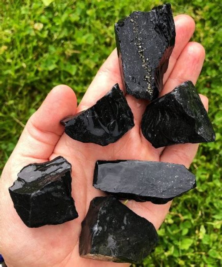 Exploring The Mystique Of Black Chub Bottom: A Hidden Gem Of Nature