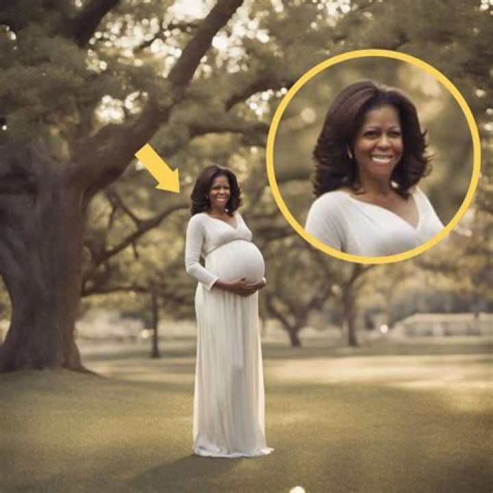 Exploring The Speculations Around Michelle Obama Preg: A Closer Look