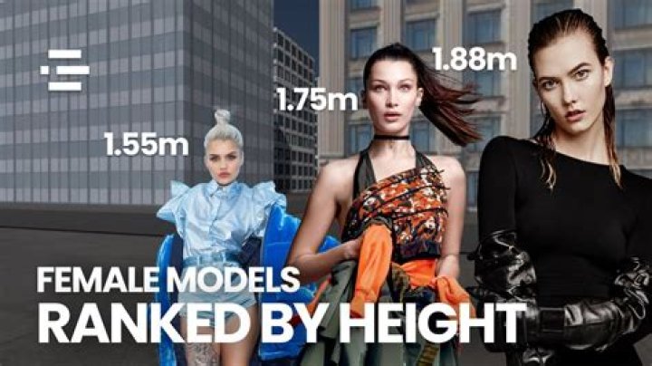 Height Matters: The Role Model Height And Its Impact