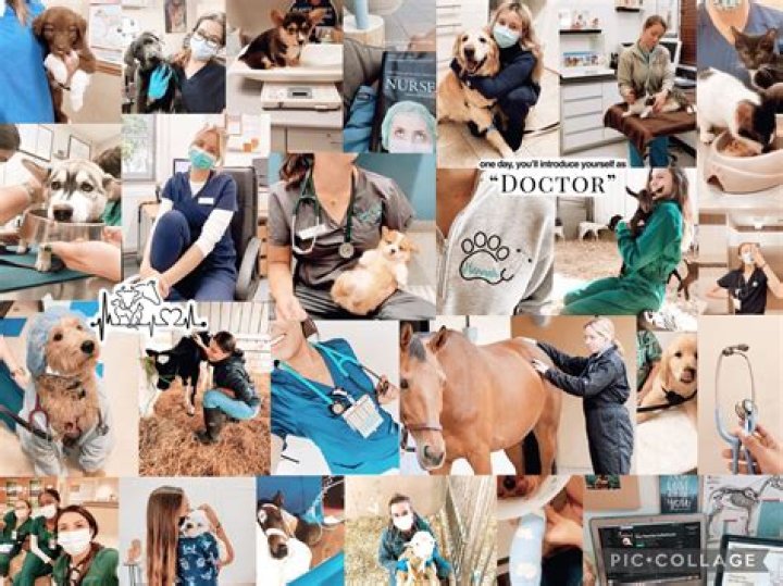 Is Dr. Pol Retired? The Future Of A Beloved Veterinarian