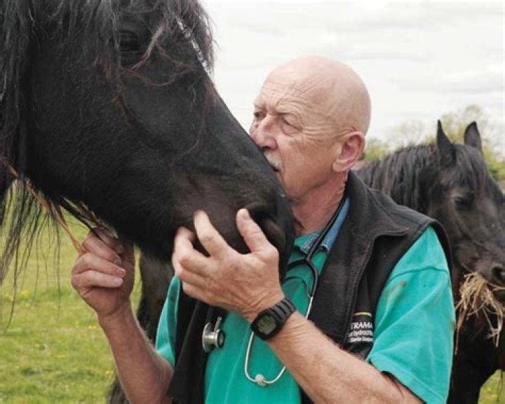 Is Dr. Pol Retiring From His Practice? The Future Of A Beloved Veterinarian
