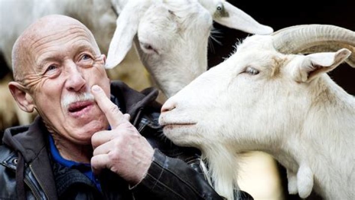 Is Dr. Pol Retiring? Unraveling The Future Of A Beloved Veterinarian