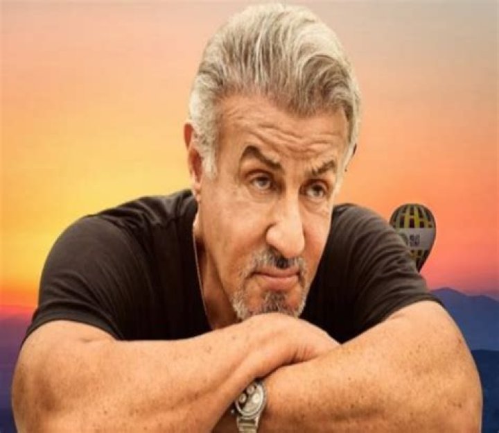 Is Stallone Wheelchair Bound? Surprising Truth Revealed