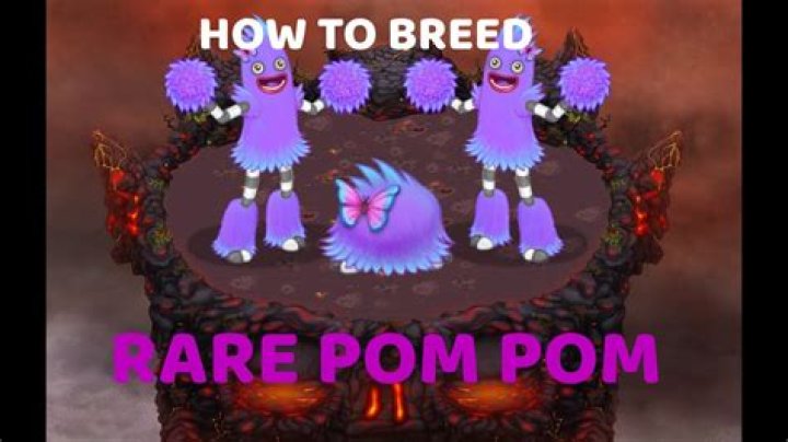 Mastering The Art Of Breeding Pom Poms: A Comprehensive Guide