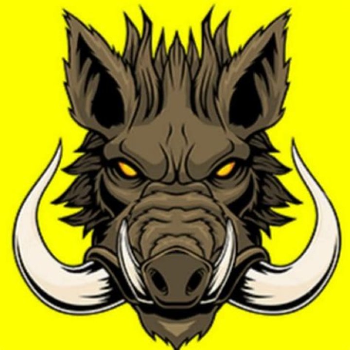 Mellstroy Mariage: A Love Story To Remember