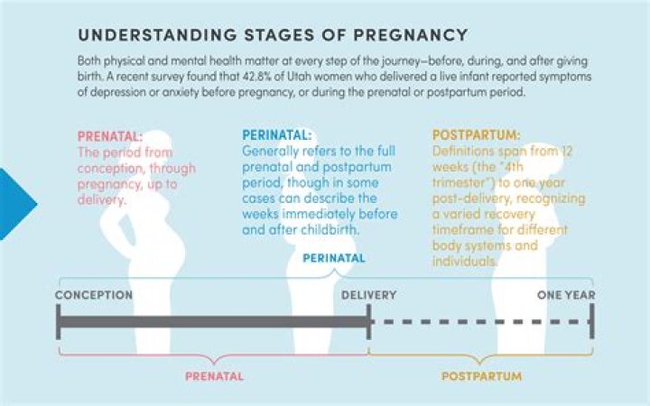 Michelle Ibama: The Journey Of Pregnancy And Motherhood