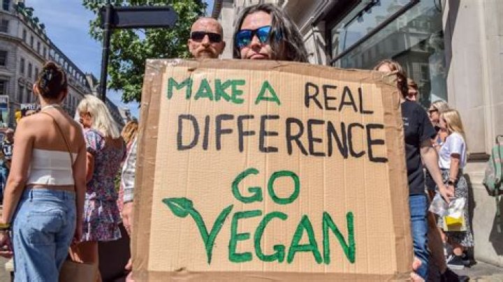 Ted Nugent's Take On Vegans: A Controversial Perspective