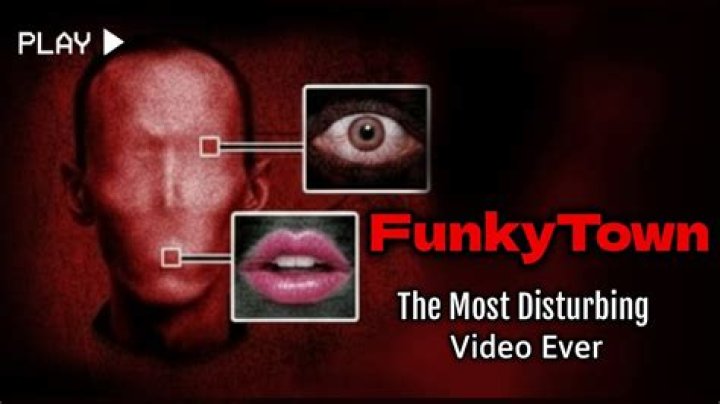 The Funkified Guide To The Groovy 