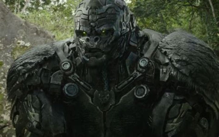 The Rise Of The Squat King: A Journey To Strength And Power