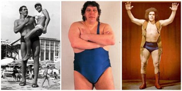 The Ultimate Guide To Andre The Giant: Uncovering The Legacy Of His Daughter