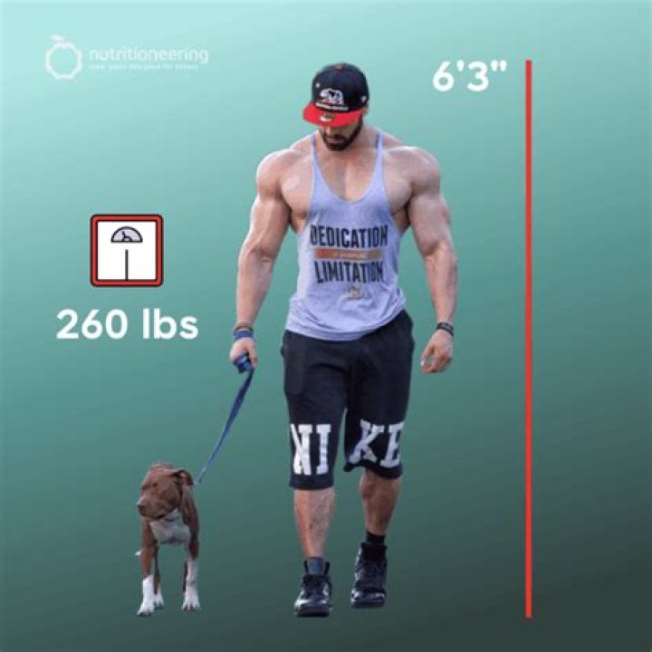 Uncovering Bradley Martyn's Impressive Physique: A Detailed Breakdown Of His Size