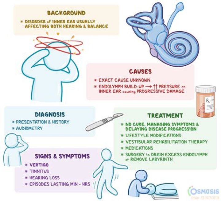 Understanding Hasbulla's Disease: Symptoms, Causes, And Treatment