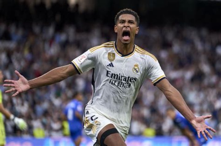 Understanding The Influence Of Bellingam Parents On Their Child's Journey