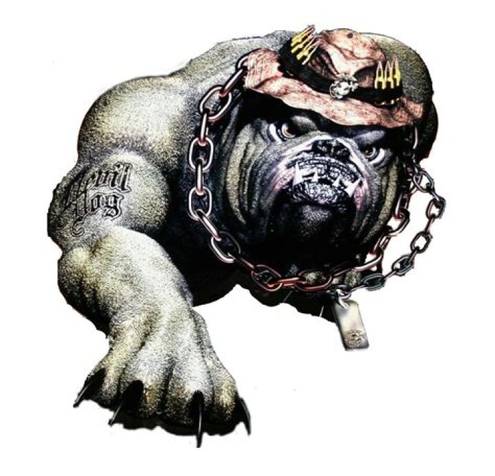 Unleashing Laughter: The Rise Of Devil Dog Memes