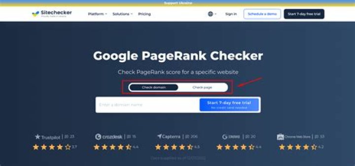 Unlock Your Website's Potential With A Free Site Rank Checker