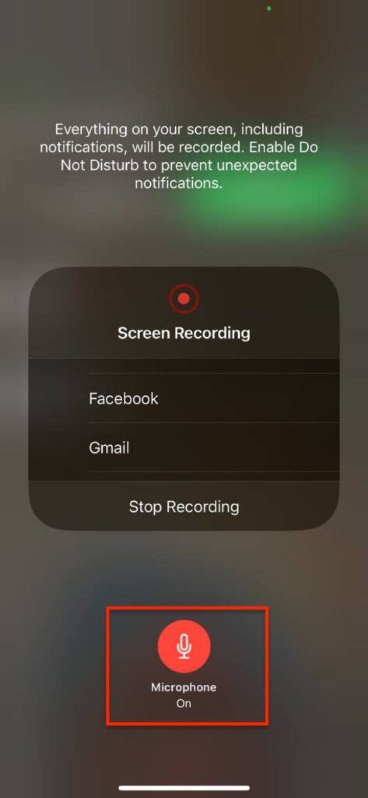Unlocking The Mystery: Can You Screen Record FaceTime?