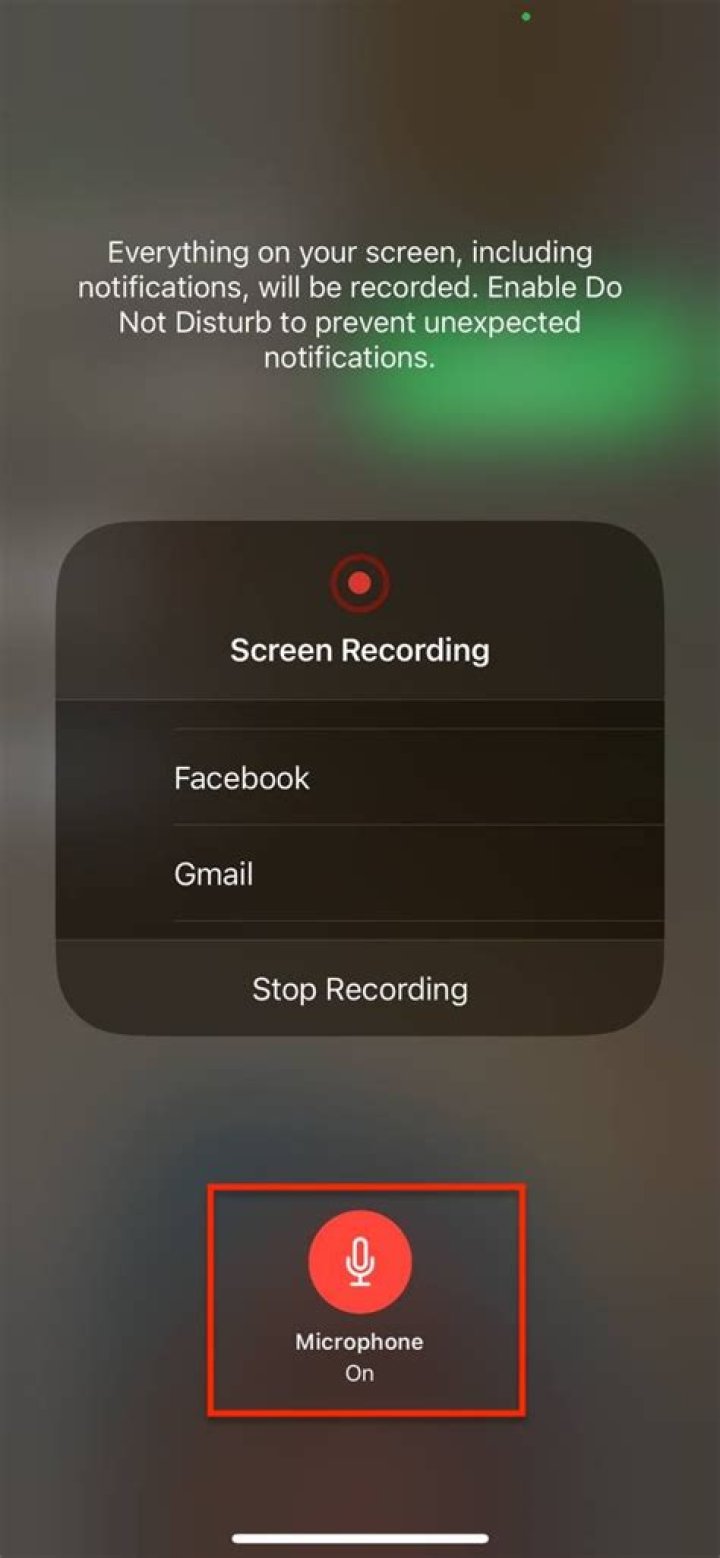 Unlocking The Secrets: Can You Record FaceTime?