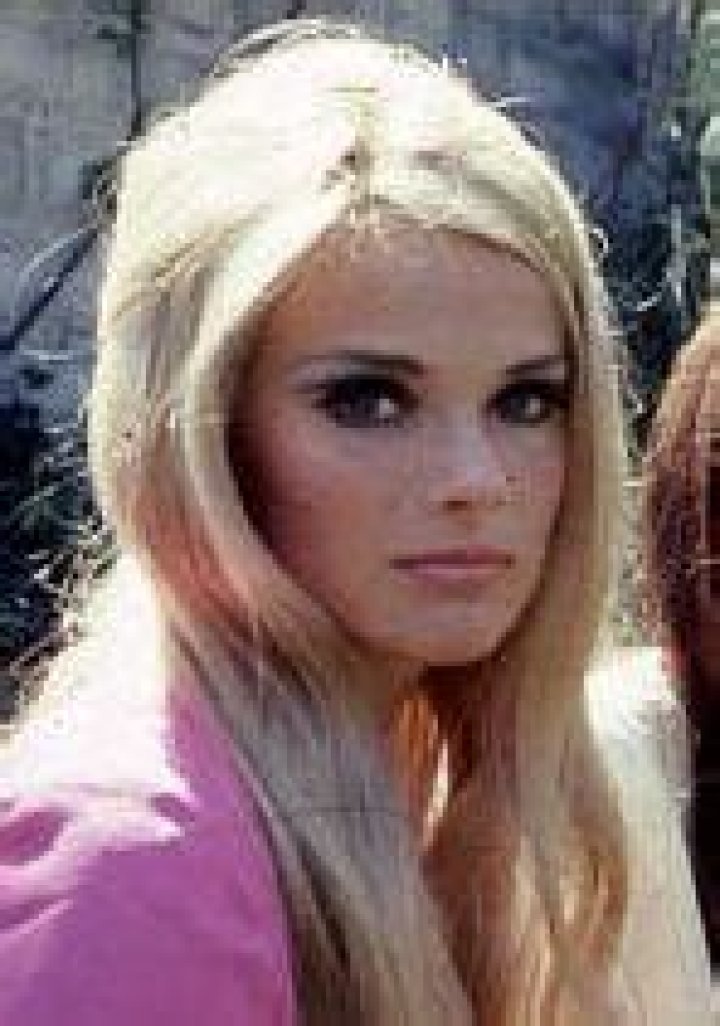 Unraveling The Life And Achievements Of Alex Sliwin