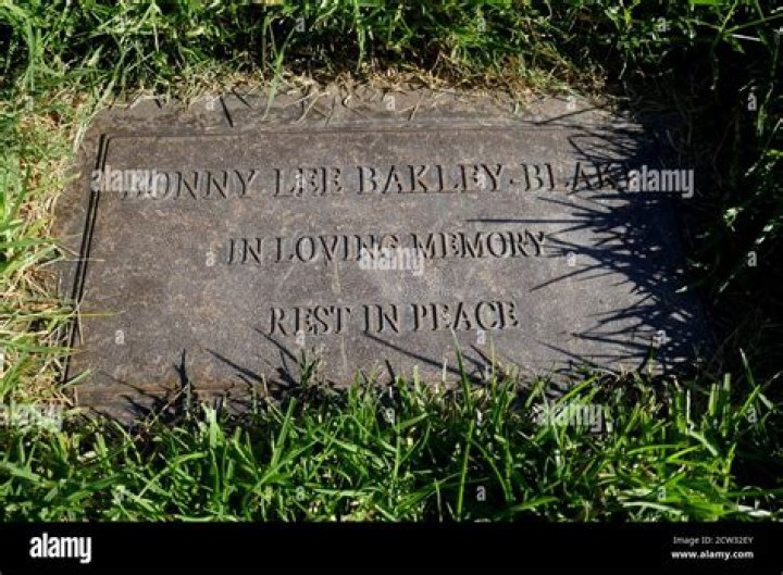 Unraveling The Life Of Bonnie Lee Bakley: A Tragic Tale Of Love And Mystery