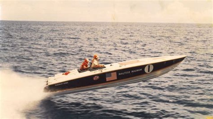 Unraveling The Mystery Behind Leo Howard's Race