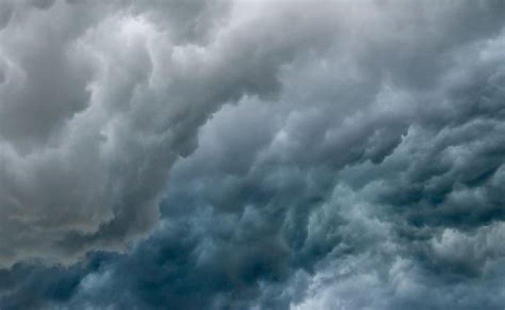 Unraveling The Phenomenon Of Video El Patron Viral