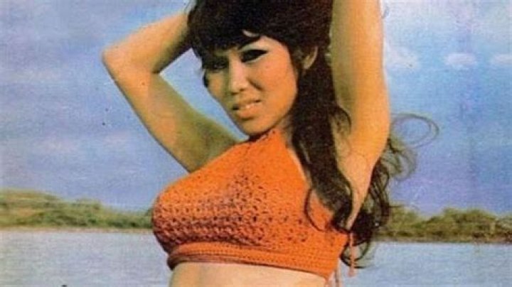 Unveiling The Fascinating Lyn May Story: A Journey Through Fame And Resilience