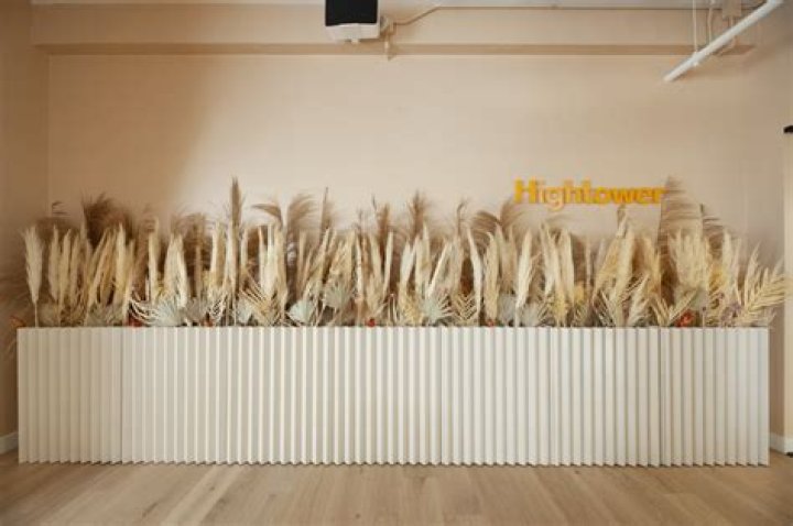 Unveiling The Life And Achievements Of Dr. Tess Hightower