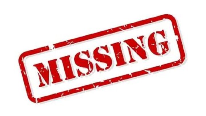 Unveiling The Life And Achievements Of Ivana Meandzija