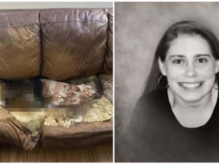 Unveiling The Life And Journey Of Lacy Fletcher