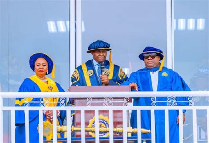 Unveiling The Life Of Adedeji Adeleke: A Journey Of Success And Influence