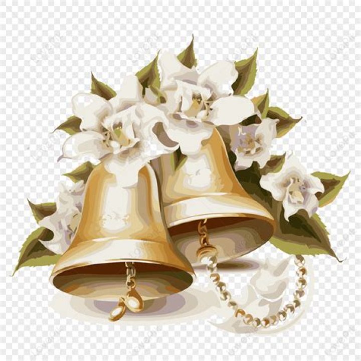 Wedding Bells For Shane Gillis: When Is The Big Day?