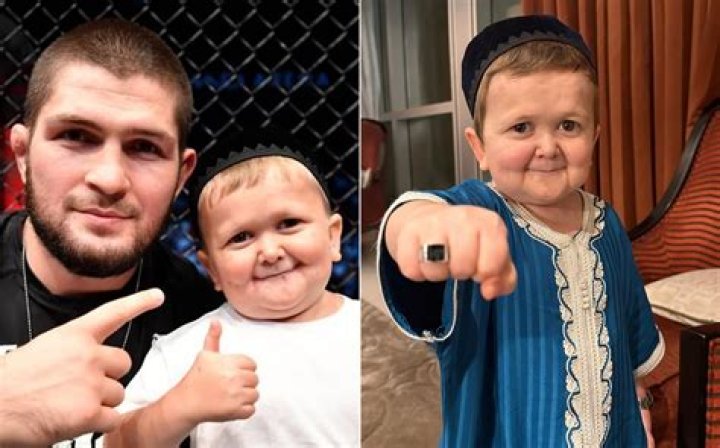 Who Is Hasbulla, The Viral Internet Sensation?